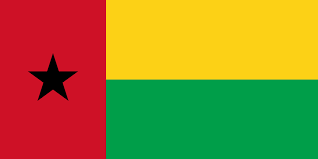drapeau guinée