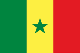 drapeau sénégal